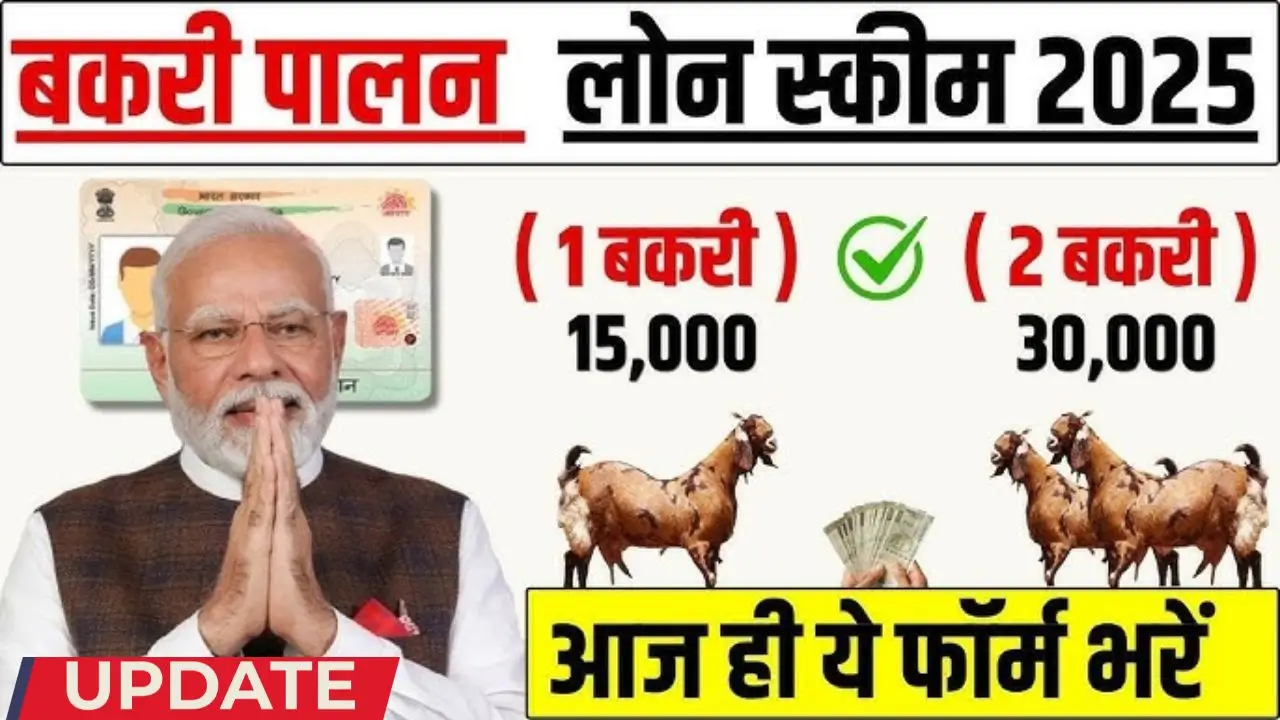 Bakri palan business loan