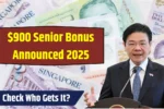 Senior Bonus Announced 2025