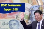 Singapore Government Support 2025