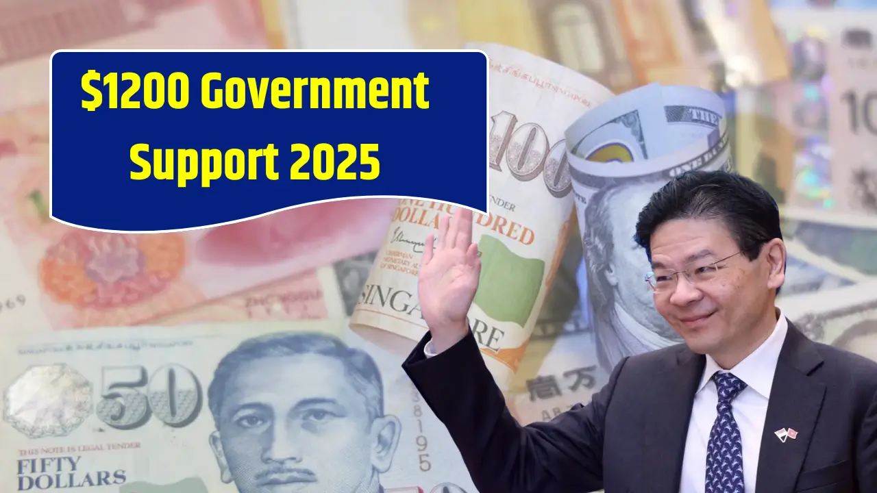 Singapore Government Support 2025