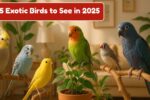5 Exoctic Birds 2025