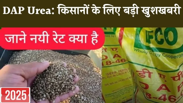 DAP-Urea-new-rate