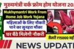 Mukhyamantri Work From Home Yojana